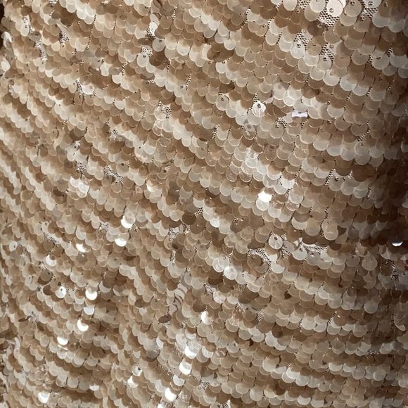 M - THE LIMITED - NWT - reversible sequin cream tank - Picture 10 of 16